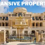 Expansive Properties