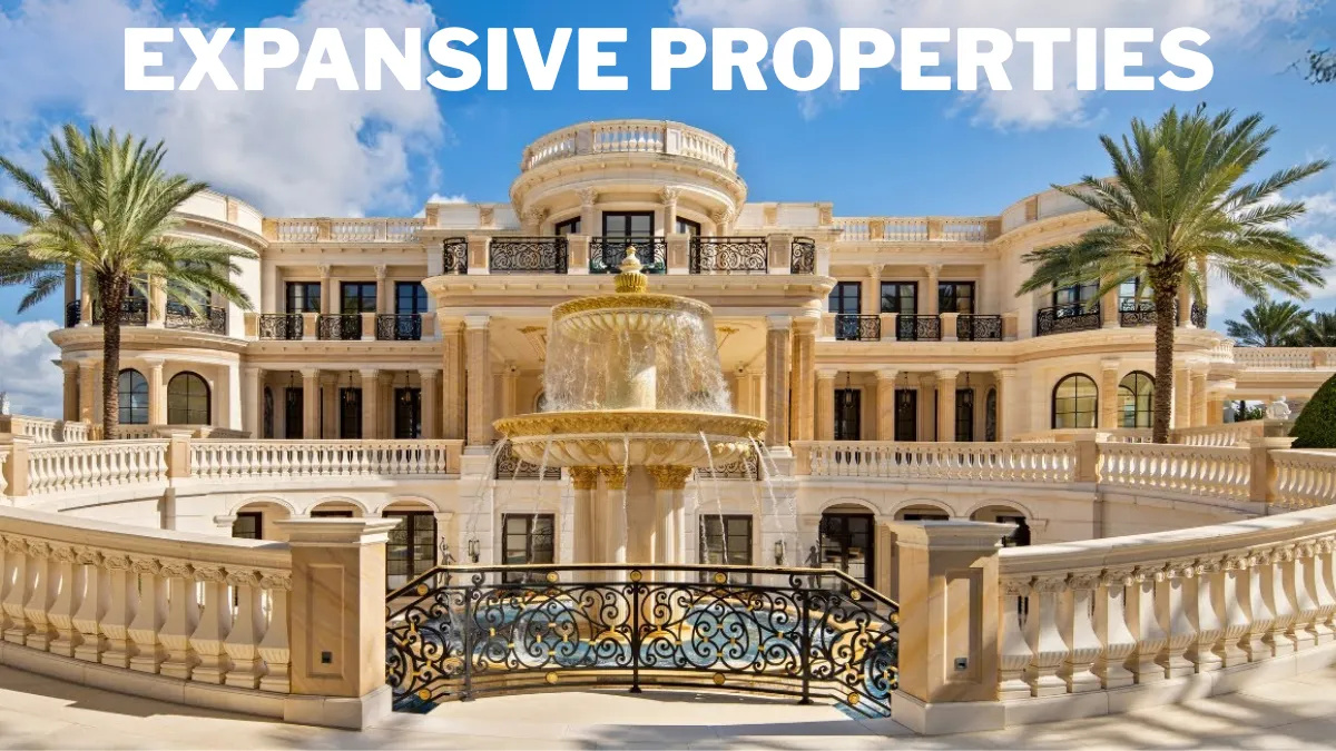 Expansive Properties